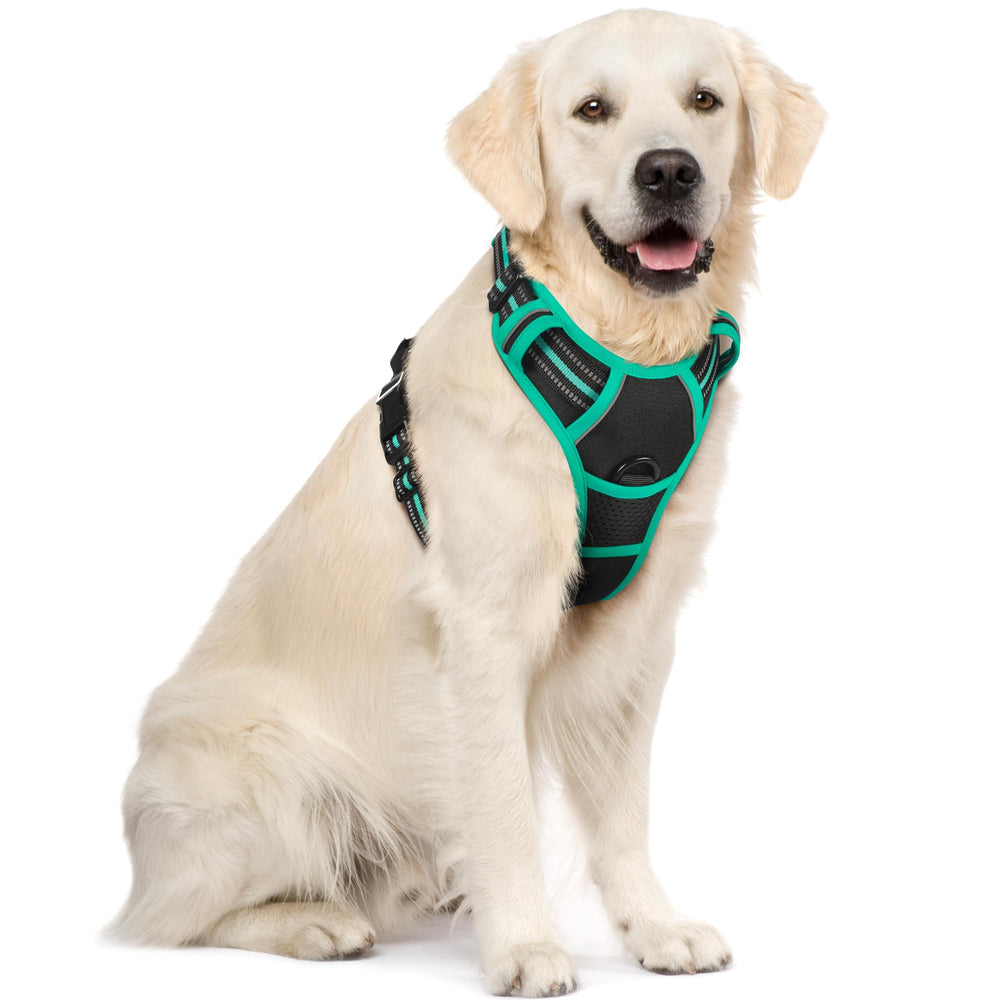 Rabbitgoo no-pull harness overview with two clips for safer walks