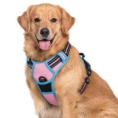 Rabbitgoo no-pull harness pink blue overview for large dogs with comfortable fit