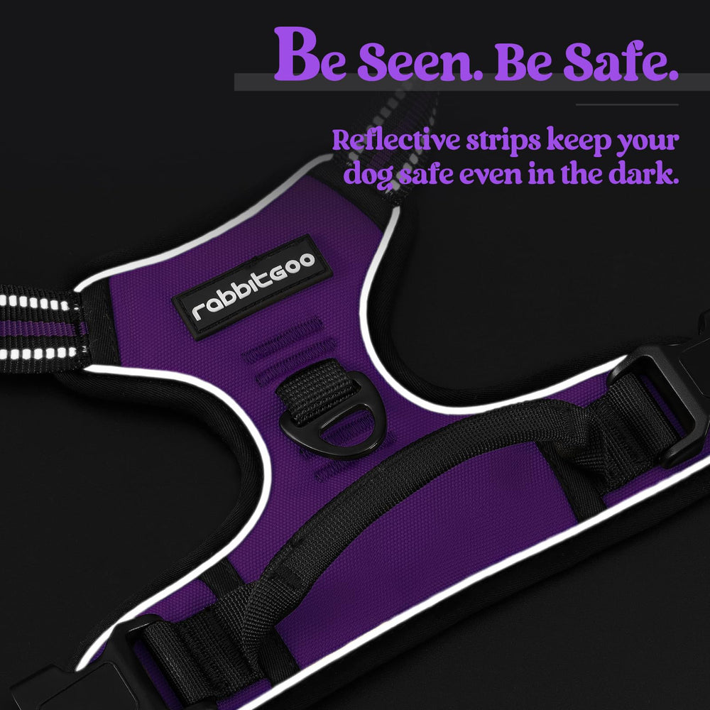 Rabbitgoo XL harness with easy-clean fabric for outdoor adventures