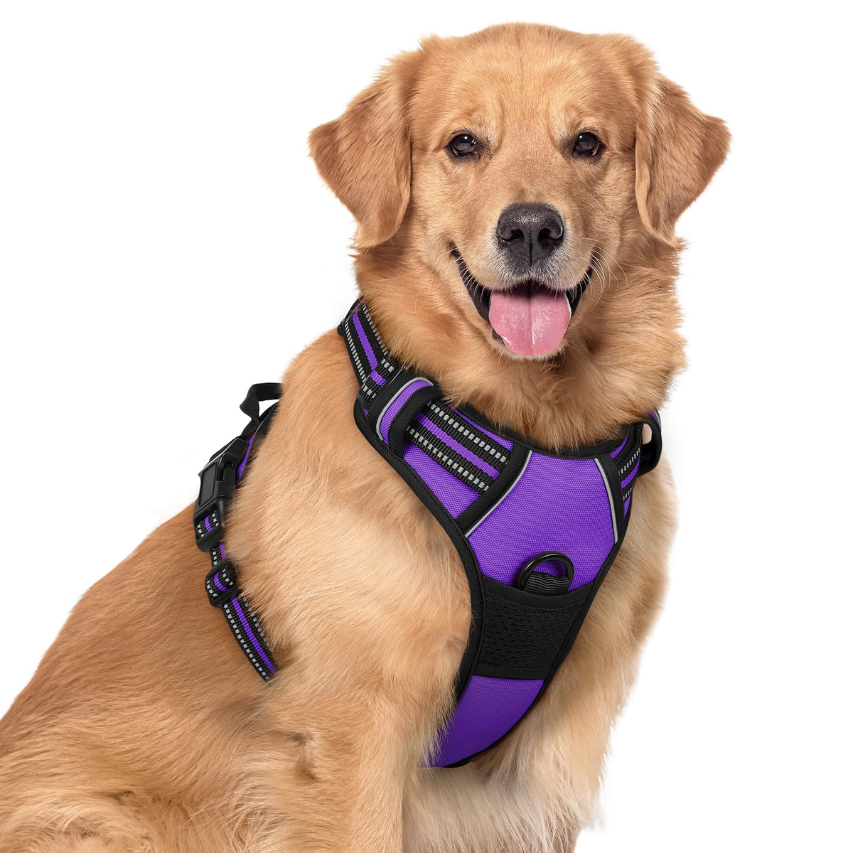 Rabbitgoo No-Pull XL Purple harness, front view for training and control