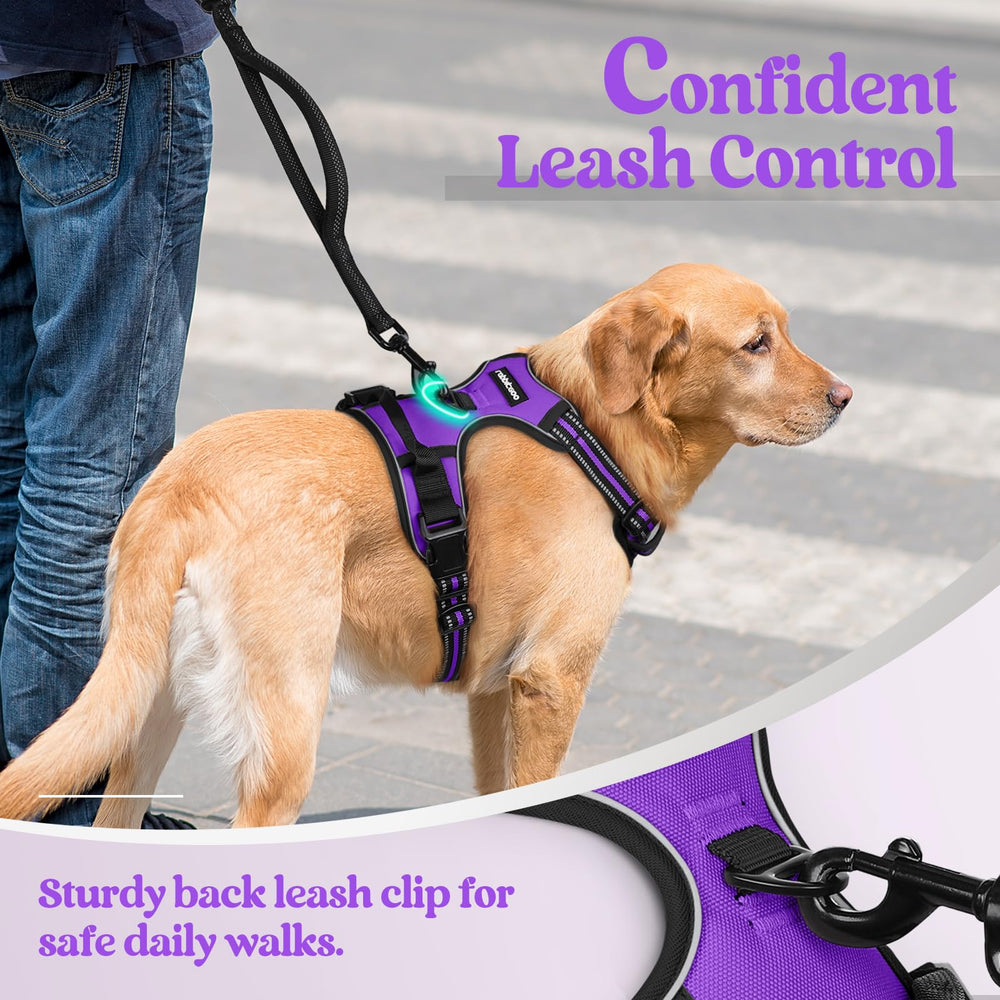 Rabbitgoo reflective strips improve visibility on day and night walks