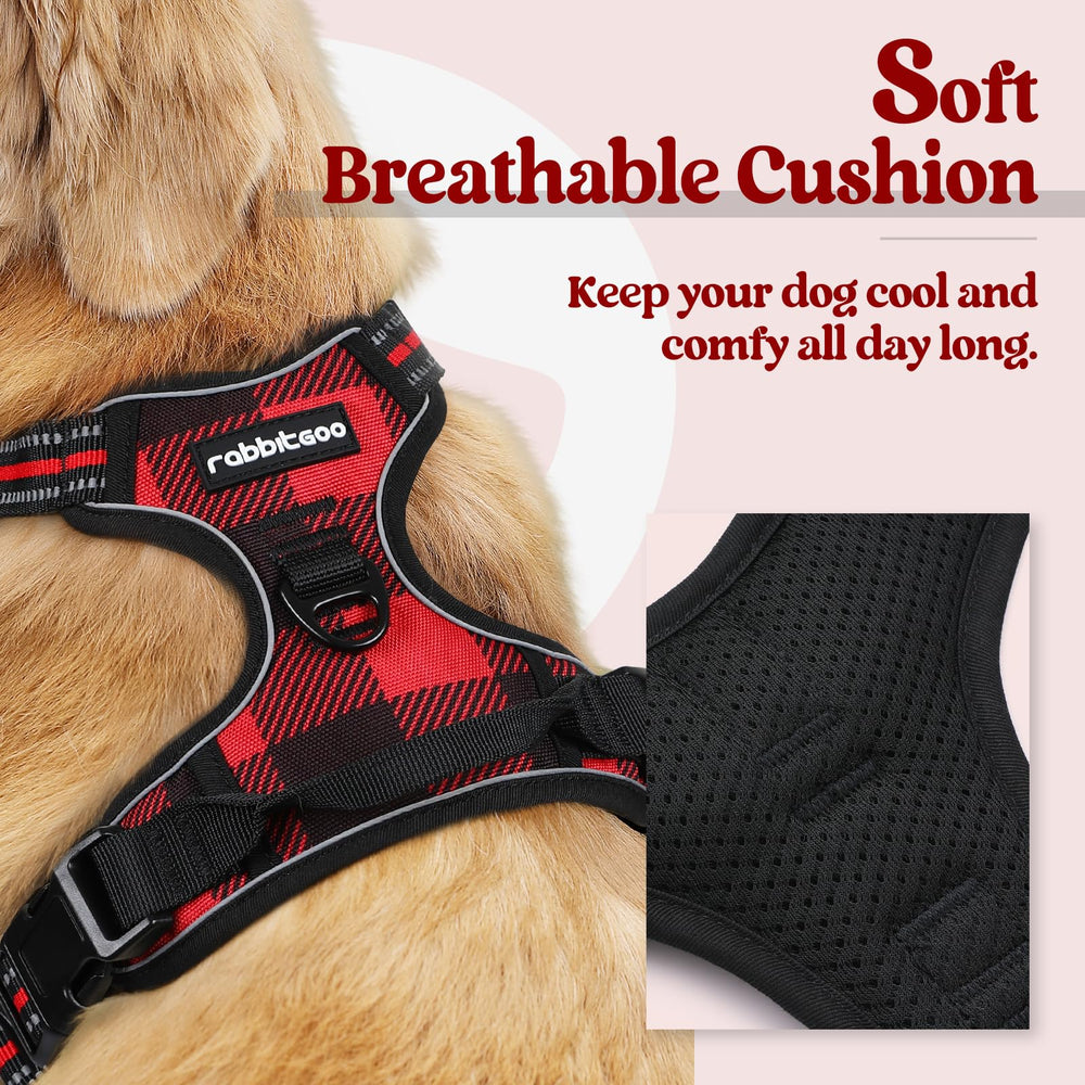 Rabbitgoo No-Pull Harness back view showing dual leash clips for control