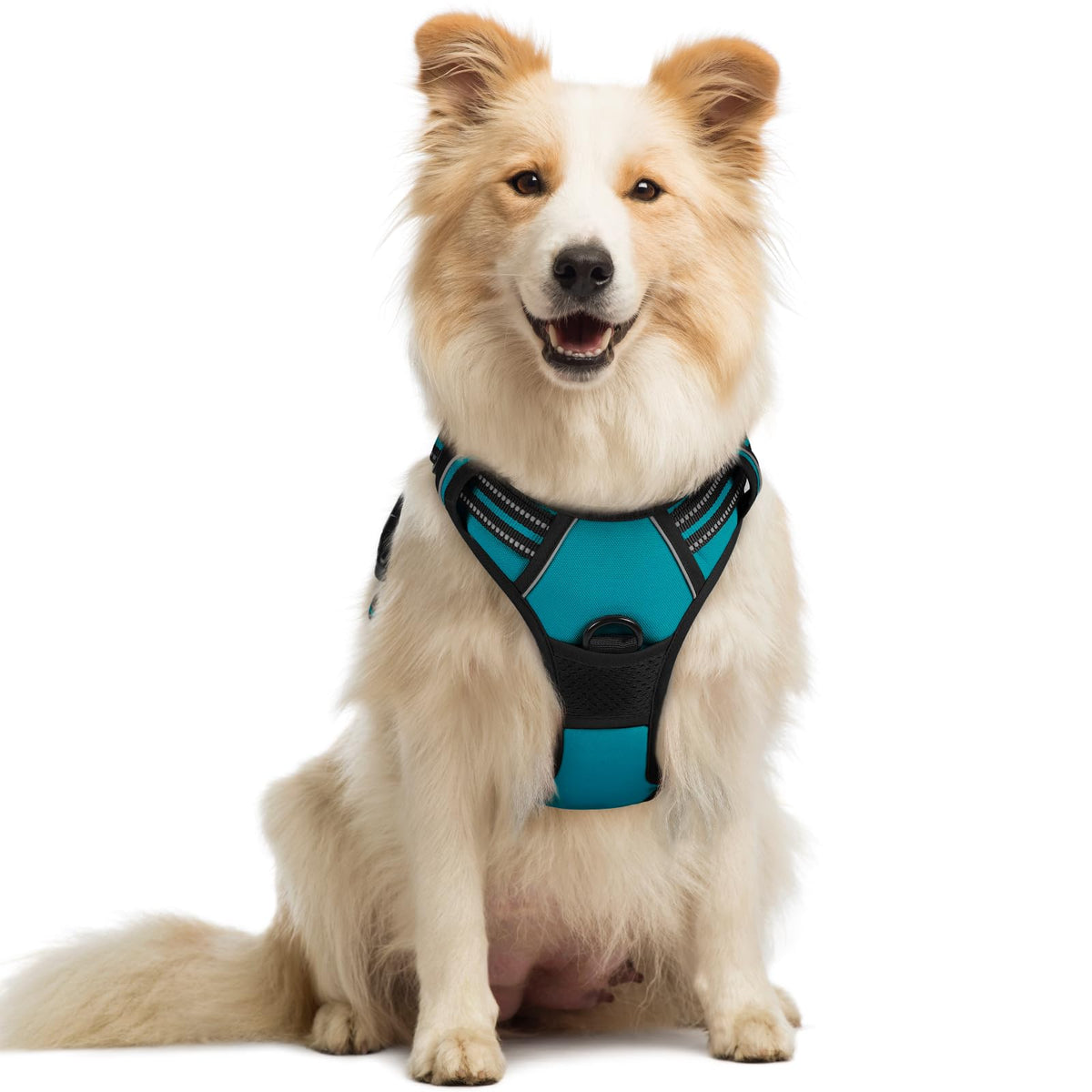 Rabbitgoo No Pull Teal dog harness overhead design for easy on-off during walks
