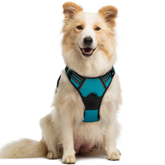 Rabbitgoo No Pull Teal dog harness overhead design for easy on-off during walks