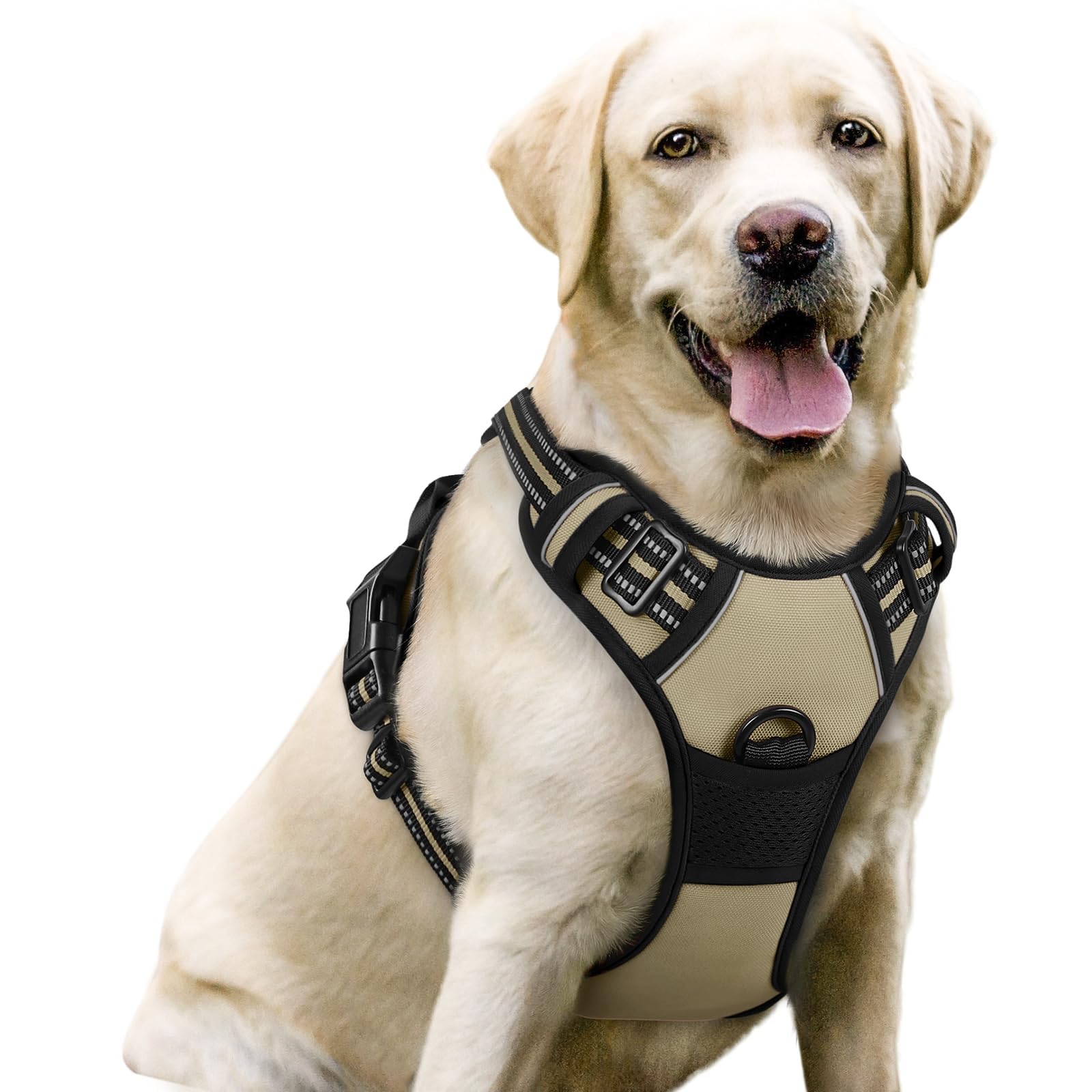 Rabbitgoo dog harness with no-pull two leash clips for safer walks.