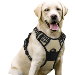 Rabbitgoo dog harness with no-pull two leash clips for safer walks.