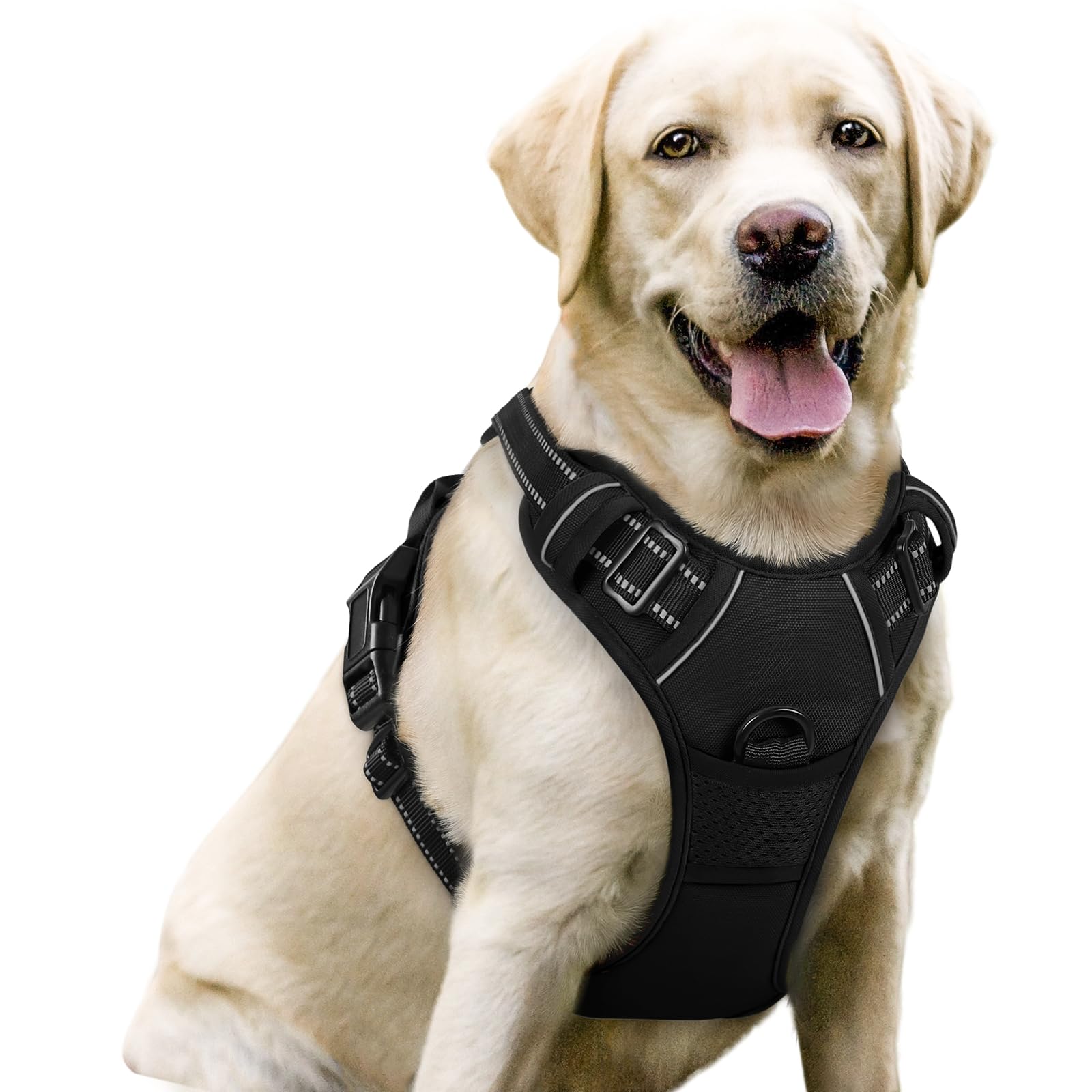 Rabbitgoo dog harness with no pull and two leash clips for safer walks.