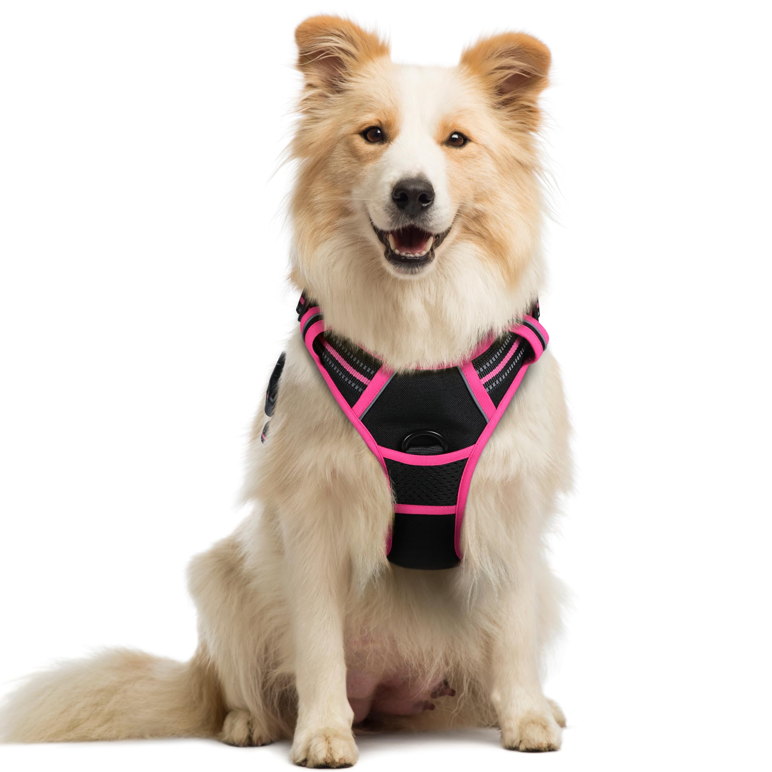 Rabbitgoo No-Pull dog harness with two leash clips for versatile daily walks.