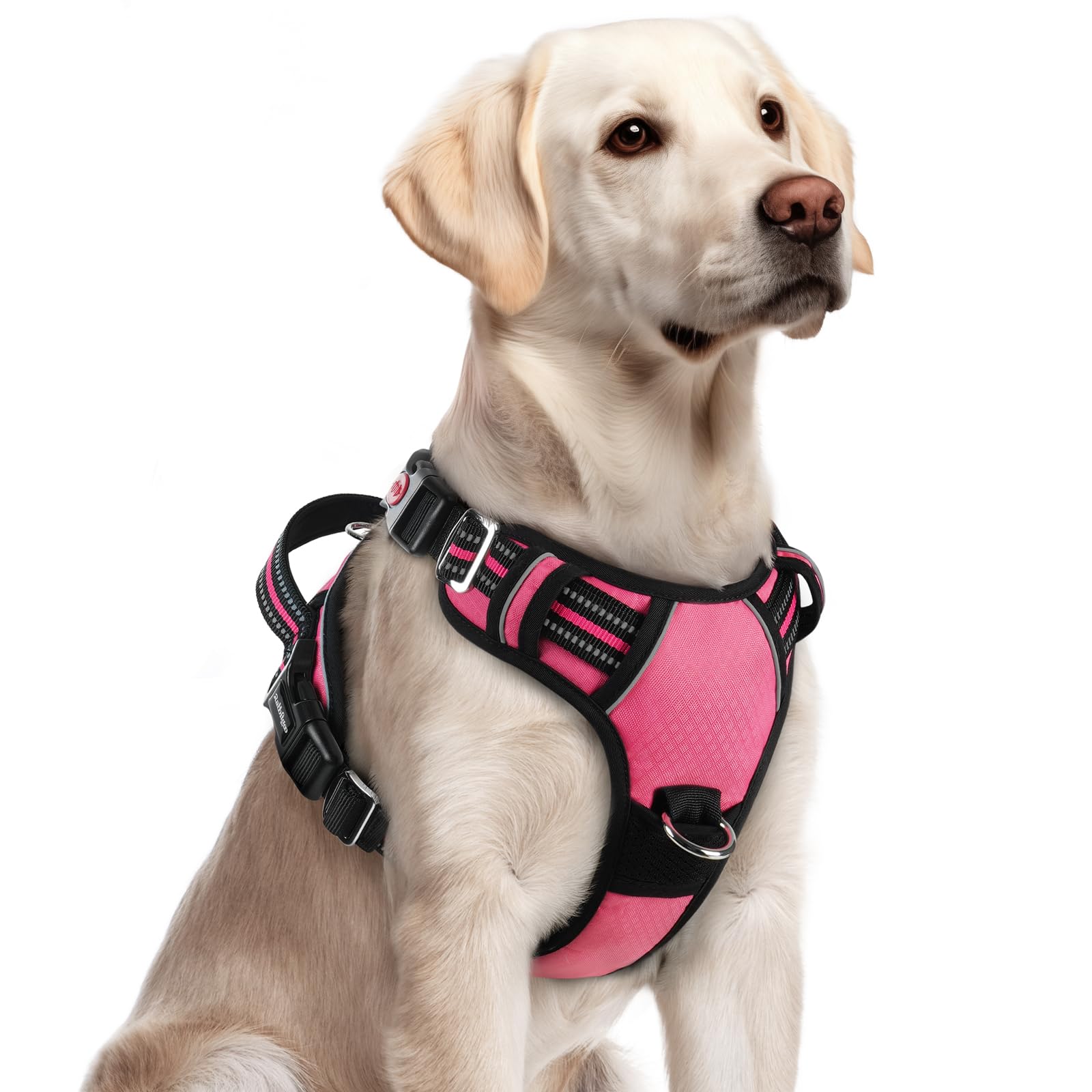 Rabbitgoo large dog harness no-pull design for calmer walks.