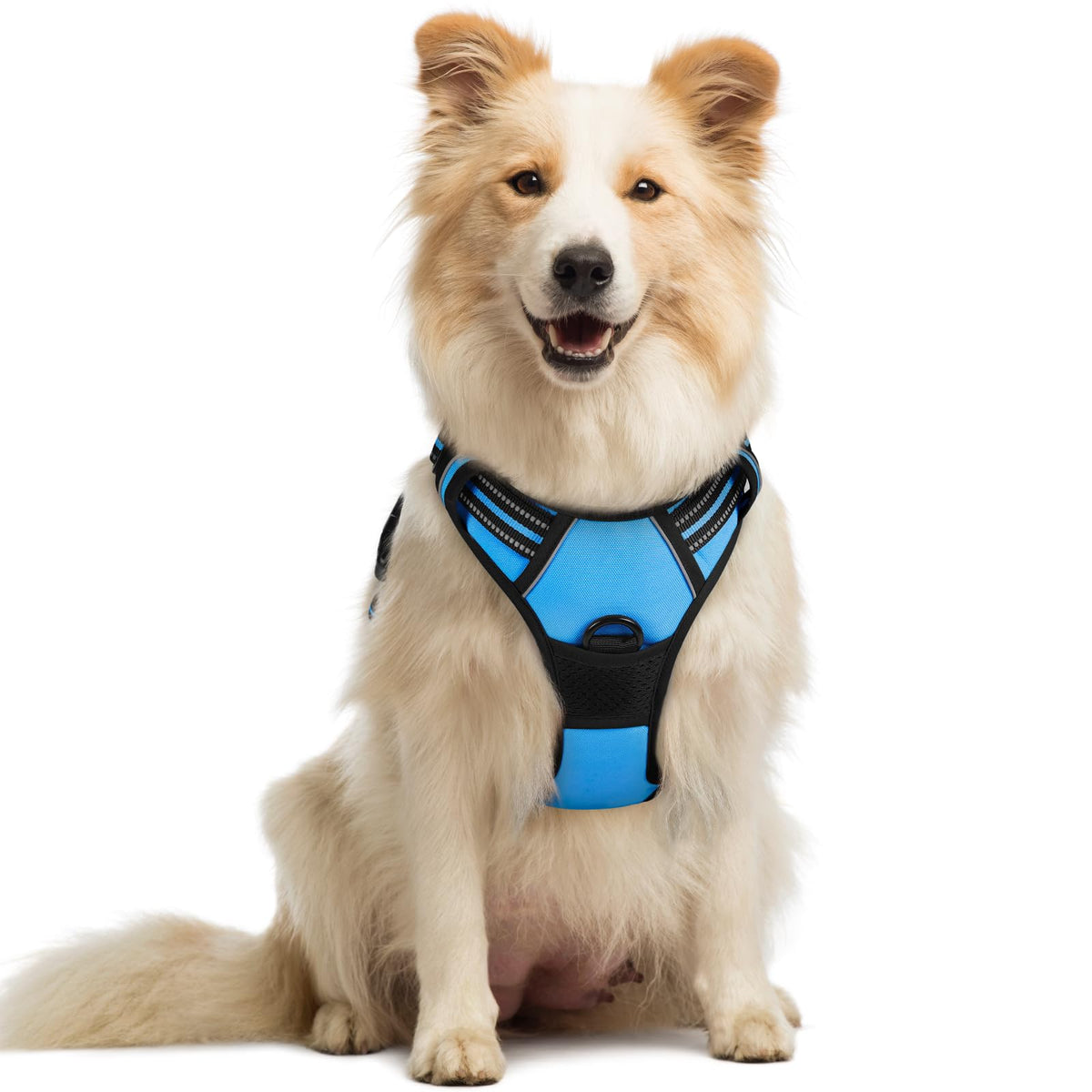 Rabbitgoo no-pull dog harness shown for smooth, controlled walks.