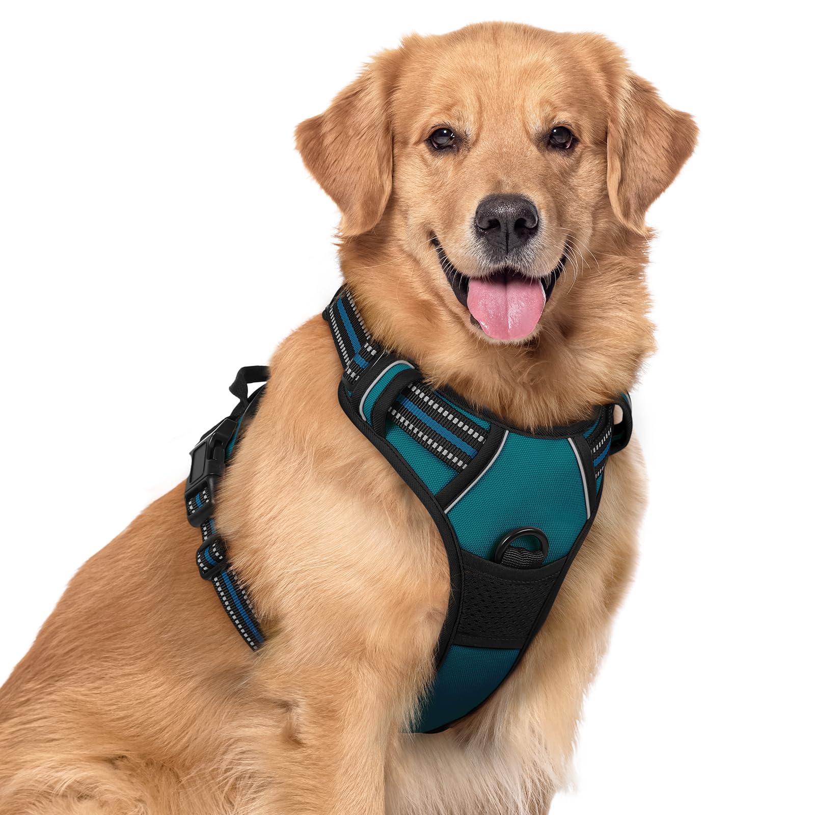 Rabbitgoo dog harness overview in blue coral for large breeds and comfort.