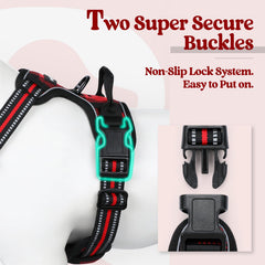 Rabbitgoo padded chest area harness for comfortable daily wear
