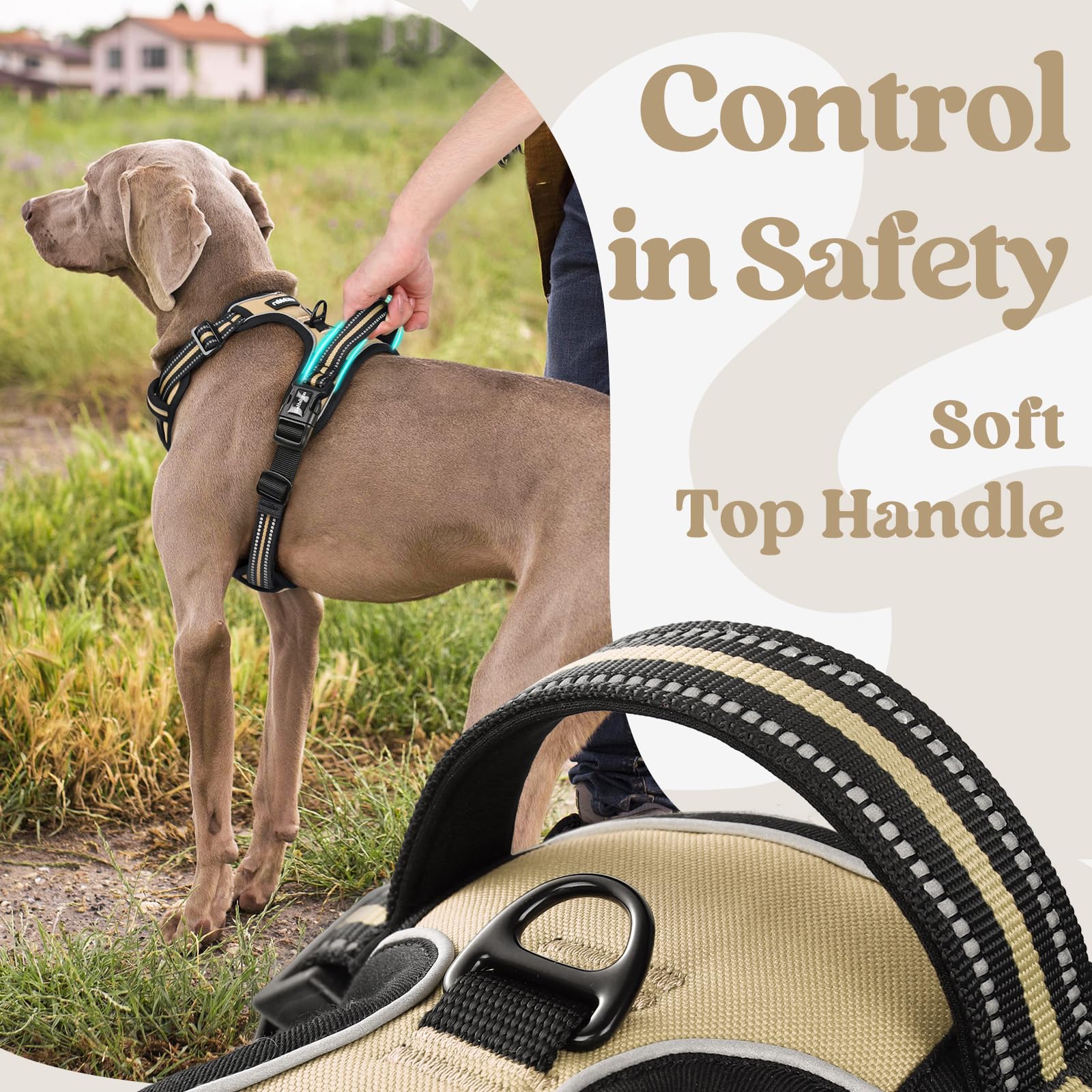Rabbitgoo padded cushion reduces irritation for all-day wear.