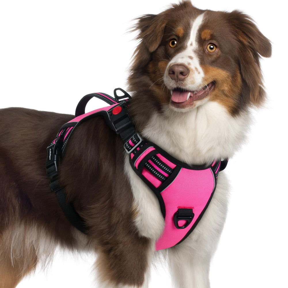 Rabbitgoo dog harness with padded handle for easy lifting and control.