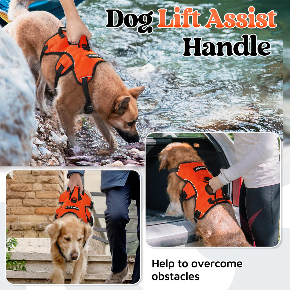 Rabbitgoo harness padded handle enables easy lifting and support.
