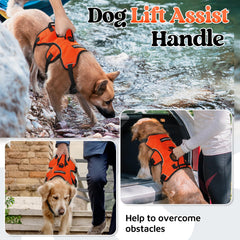 Rabbitgoo harness padded handle enables easy lifting and support.