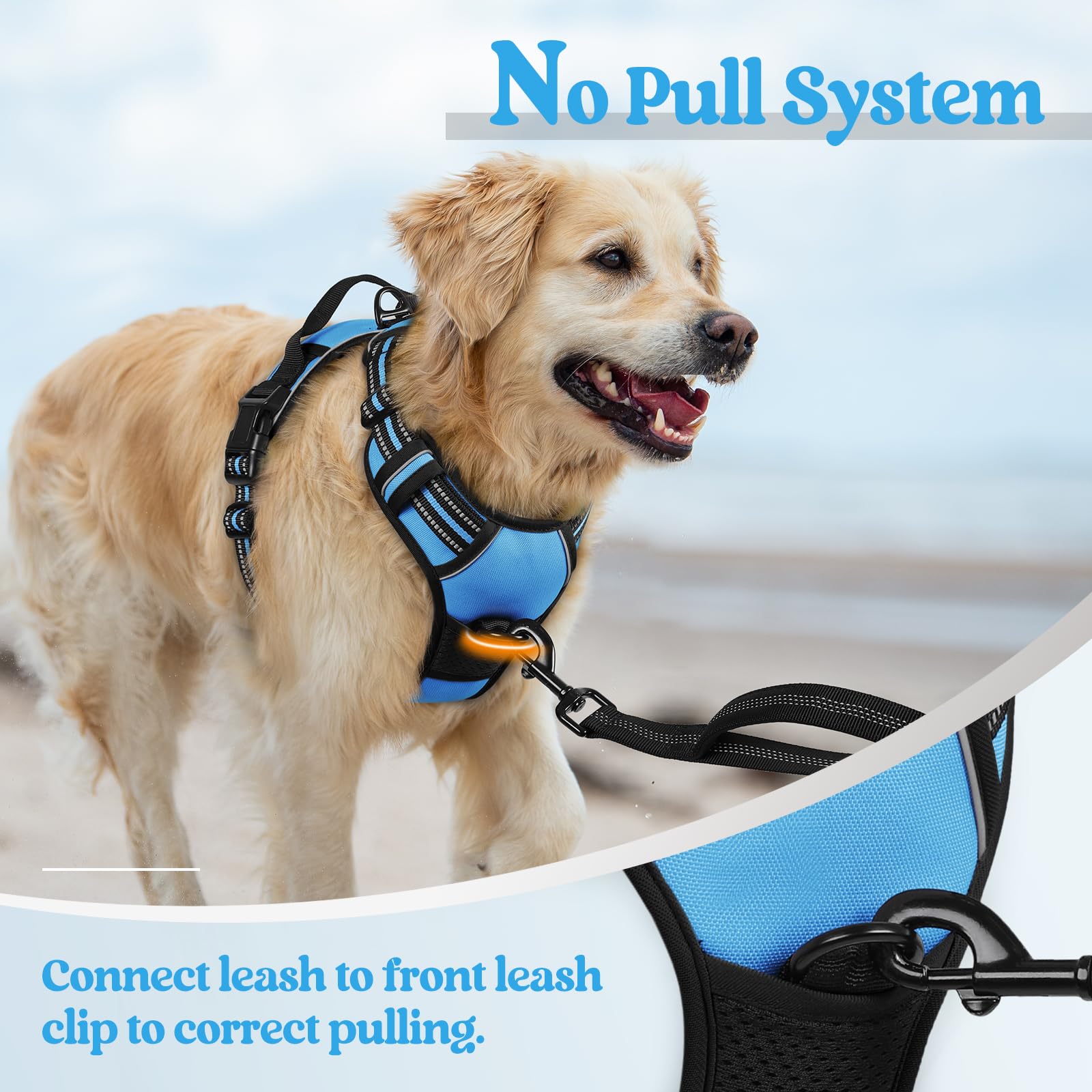 Rabbitgoo padded interior for soft, comfortable contact with the dog's coat.