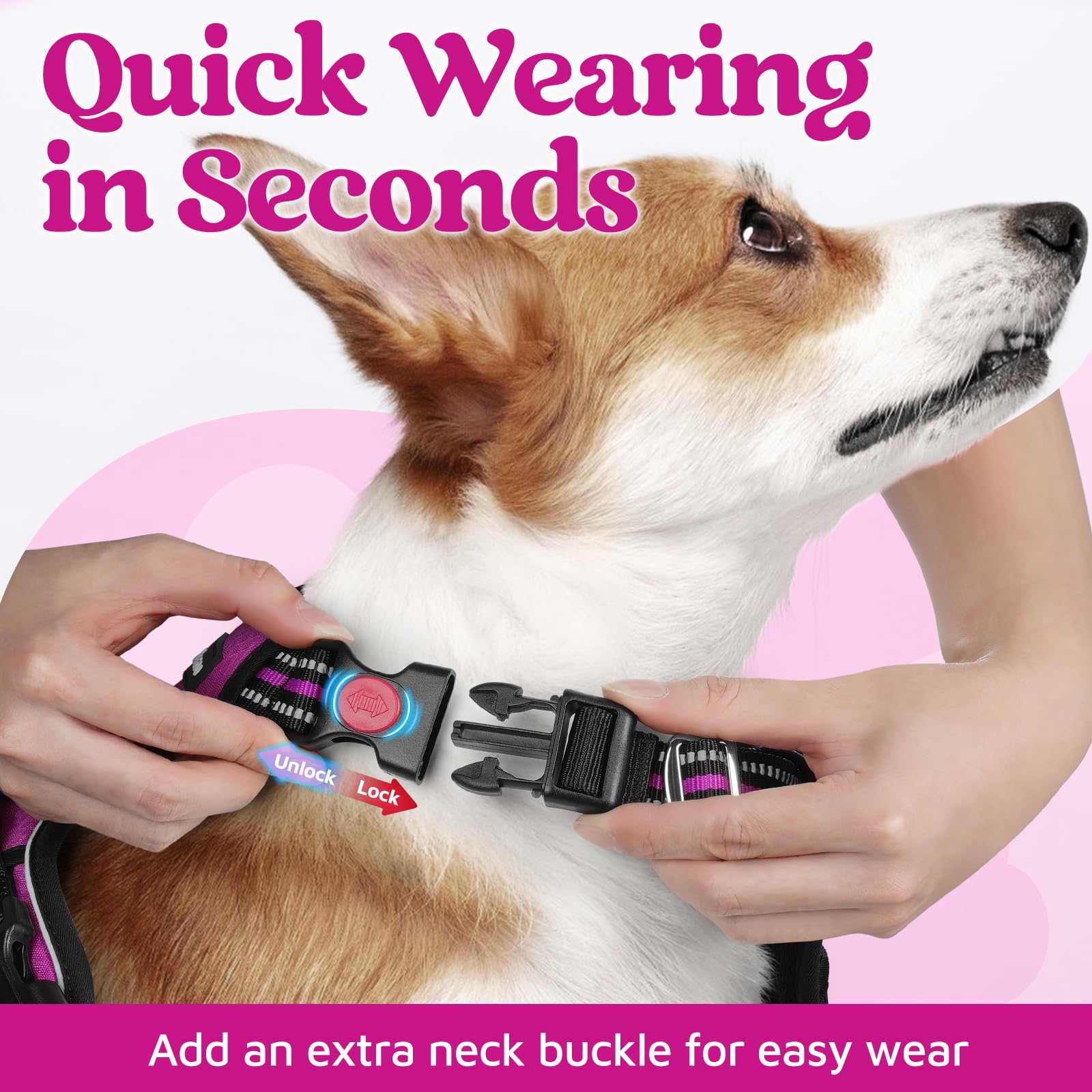 Rabbitgoo padded vest with skin-friendly air mesh for all-day comfort