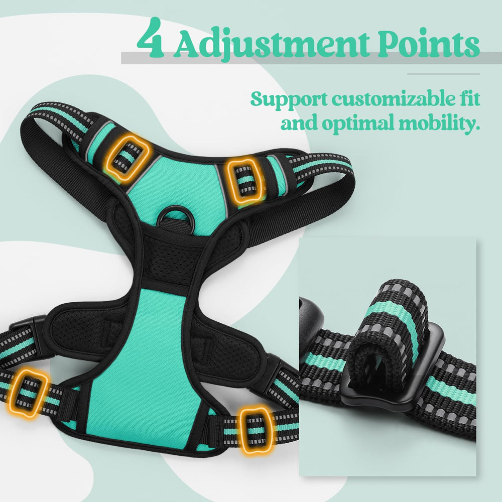 Rabbitgoo padded, breathable oxford harness keeps dogs comfy on outdoor adventures.