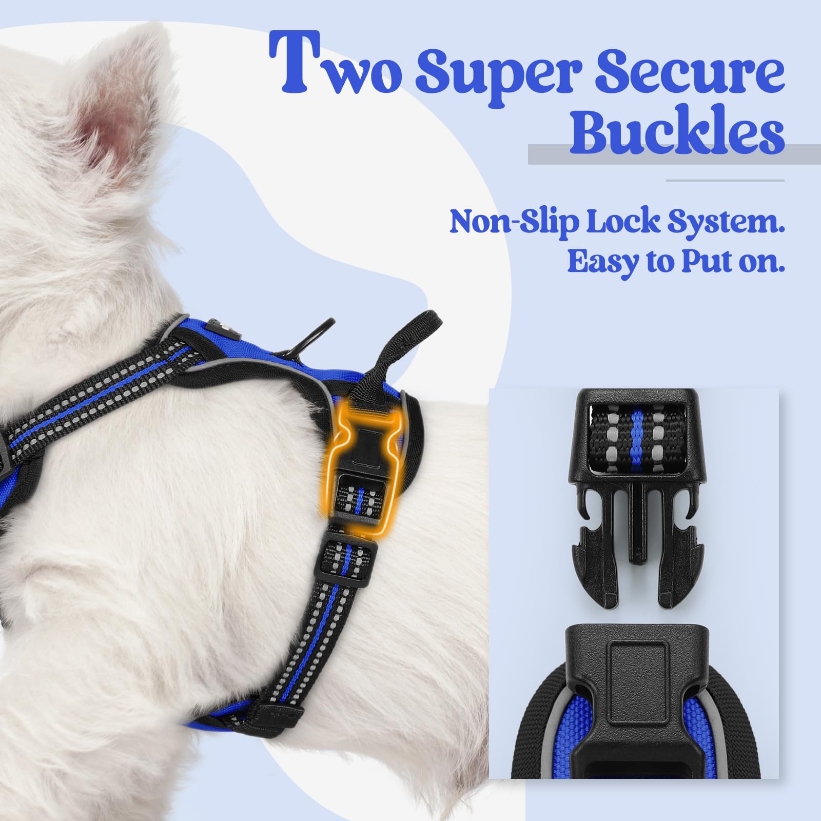 Soft padded Rabbitgoo harness delivers comfortable fit for small dogs outdoors.