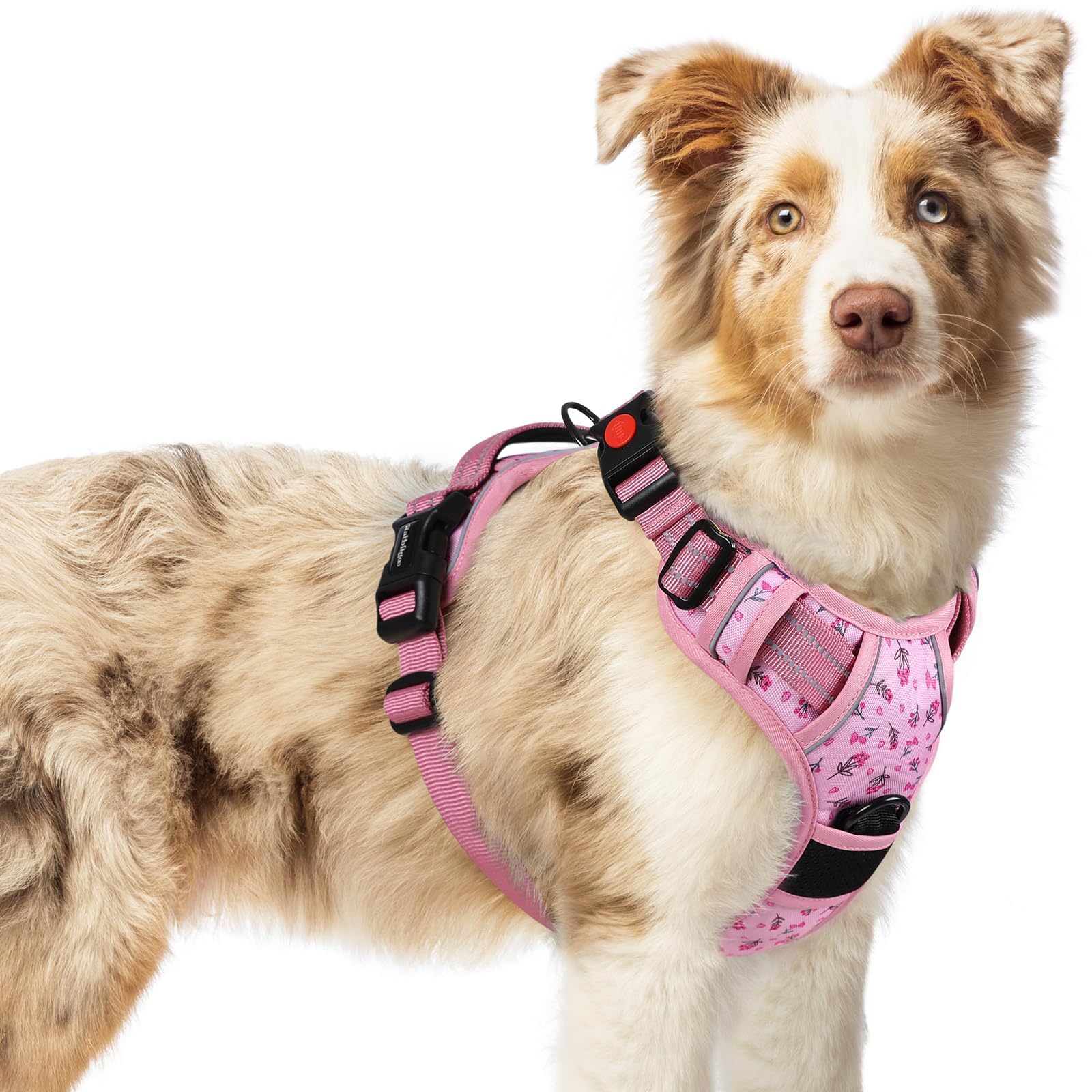 Rabbitgoo padded-vest harness for comfortable daily walks