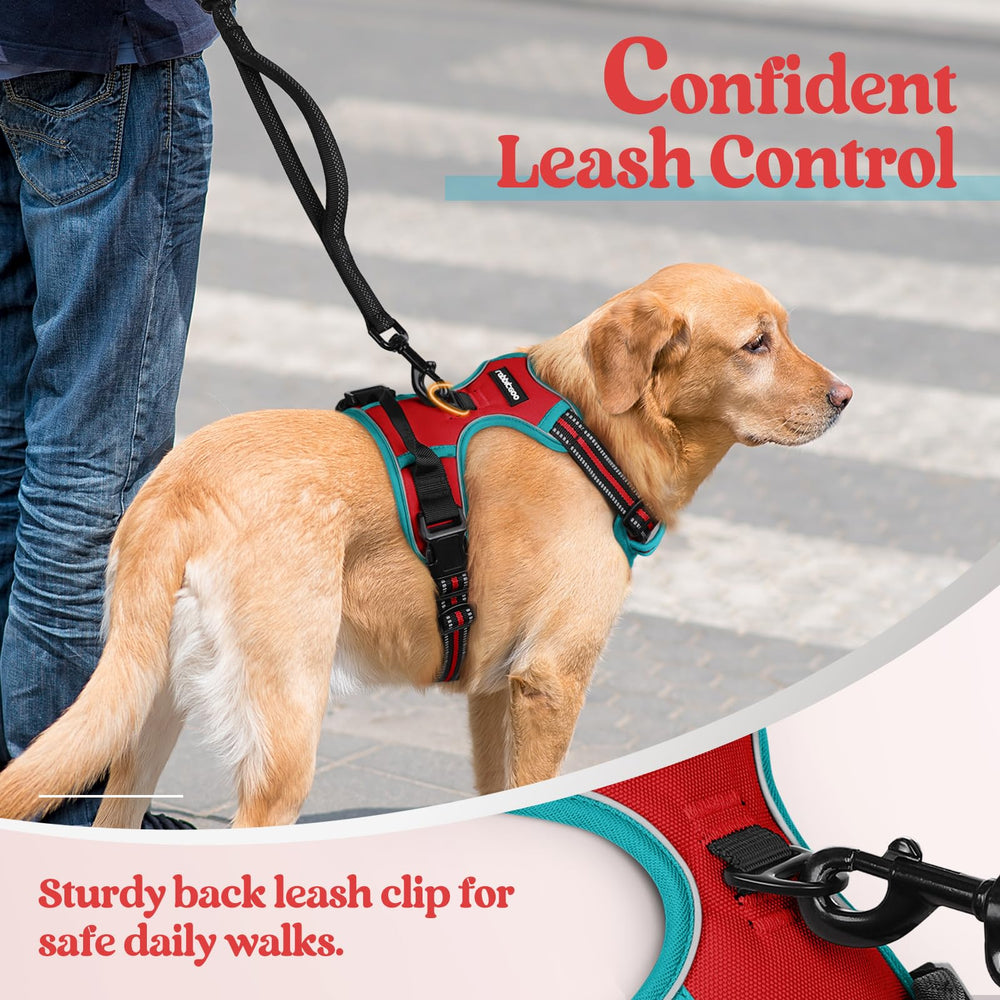 Rabbitgoo harness padding close-up shows soft cushioning against the skin.