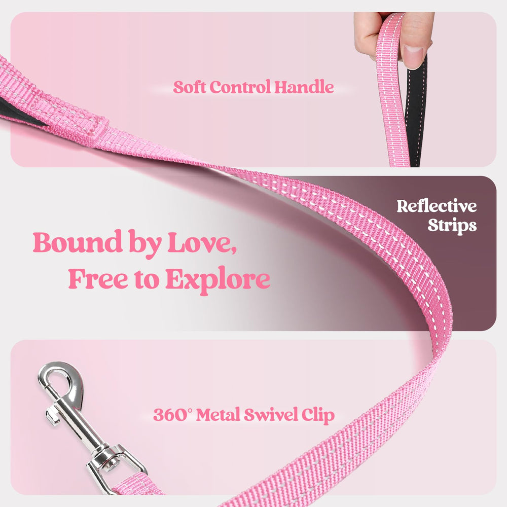 Rabbitgoo palm-friendly-handle leash provides comfortable one-handed control