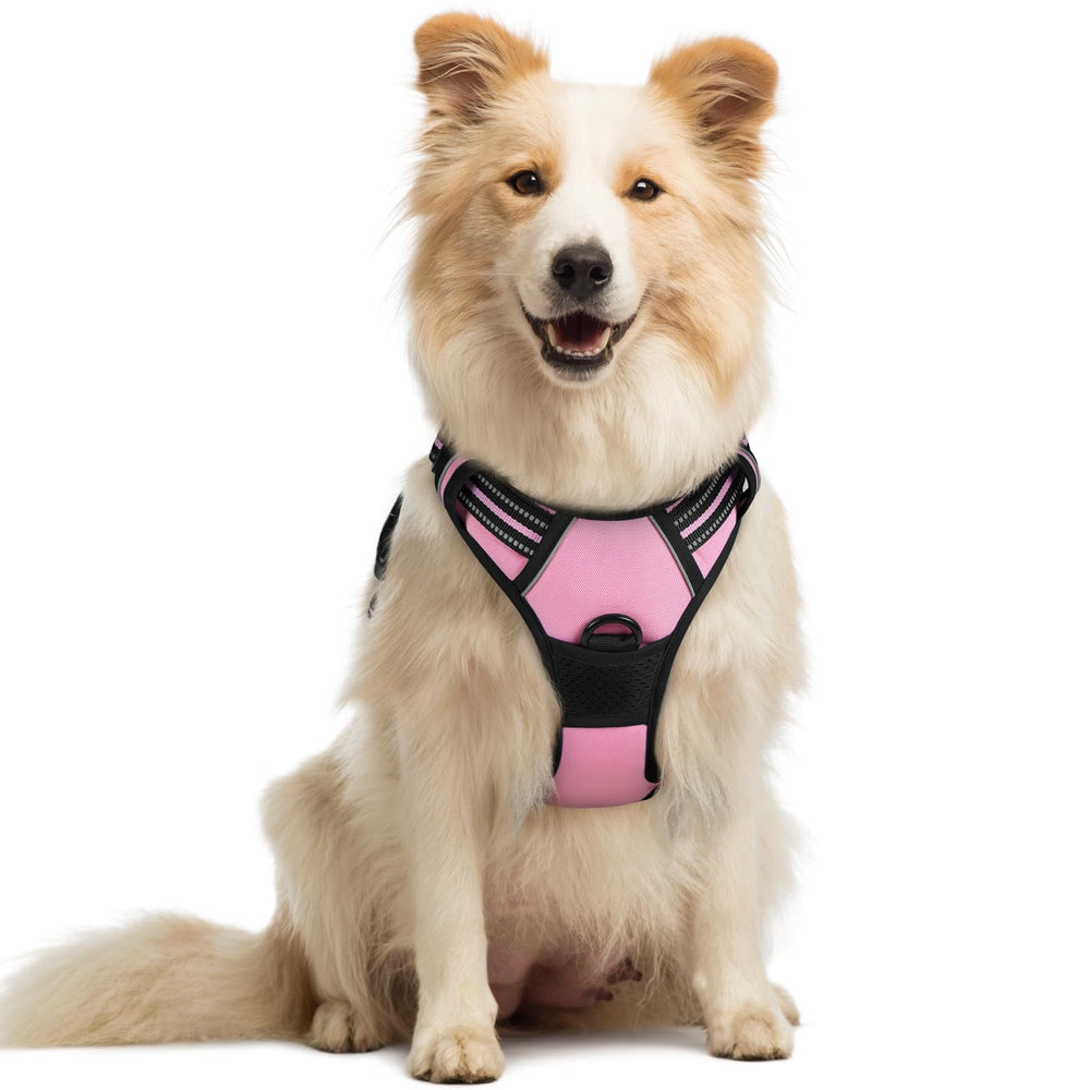 Rabbitgoo pink chest-clip harness for gentle no-pull control during walks