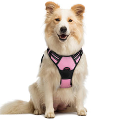 Rabbitgoo pink chest-clip harness for gentle no-pull control during walks
