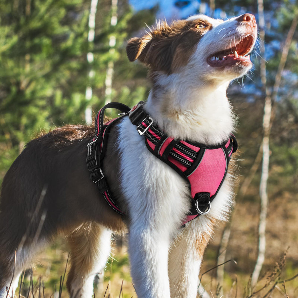 Rabbitgoo pink medium harness suited for daily use