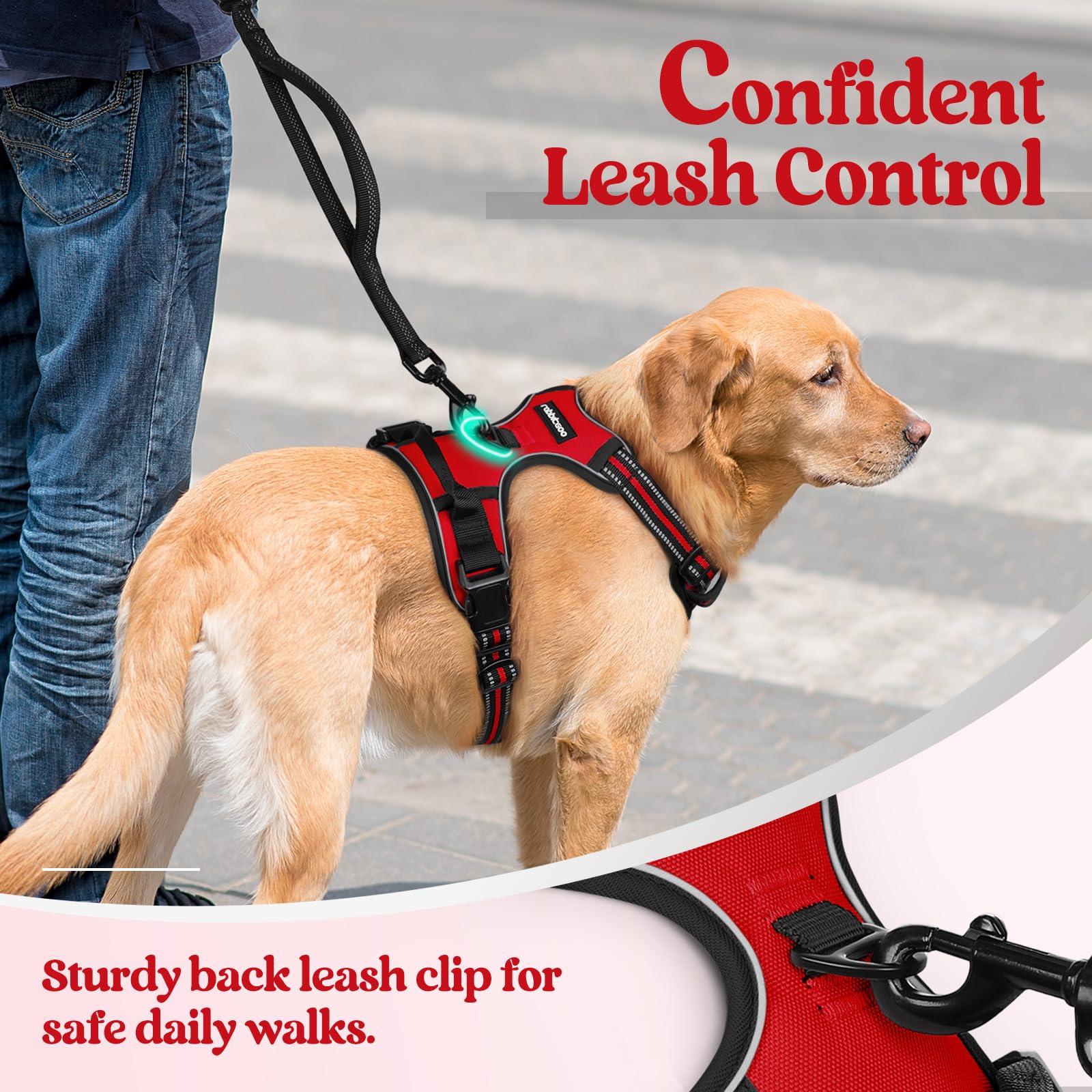 Rabbitgoo red classic color stands out for easy visibility during daily walks