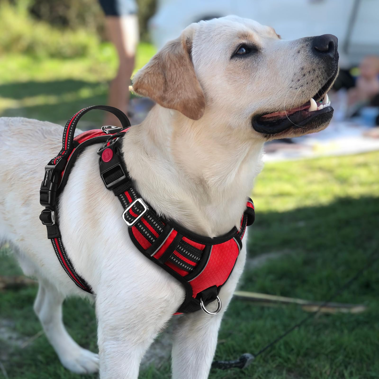 Rabbitgoo harness red close-up highlights durable fabric and padding.