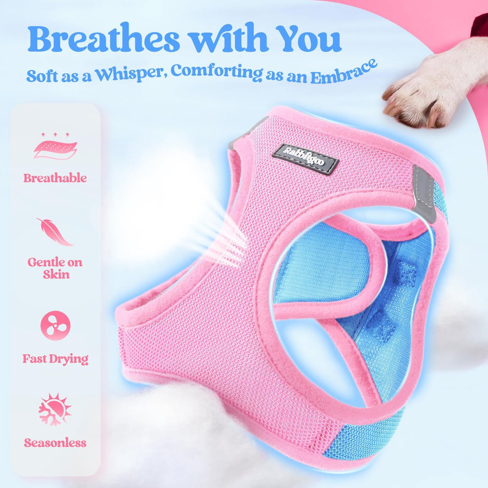Rabbitgoo harness reflective bands boost visibility for safe night walks.