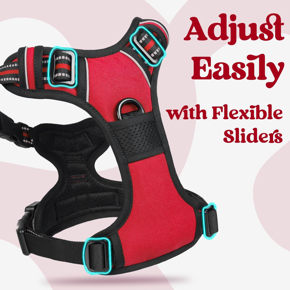 Rabbitgoo reflective stitching enhances visibility during night walks.