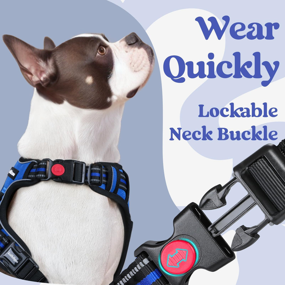 Rabbitgoo reflectively stitched harness increases nighttime visibility for safe walking.
