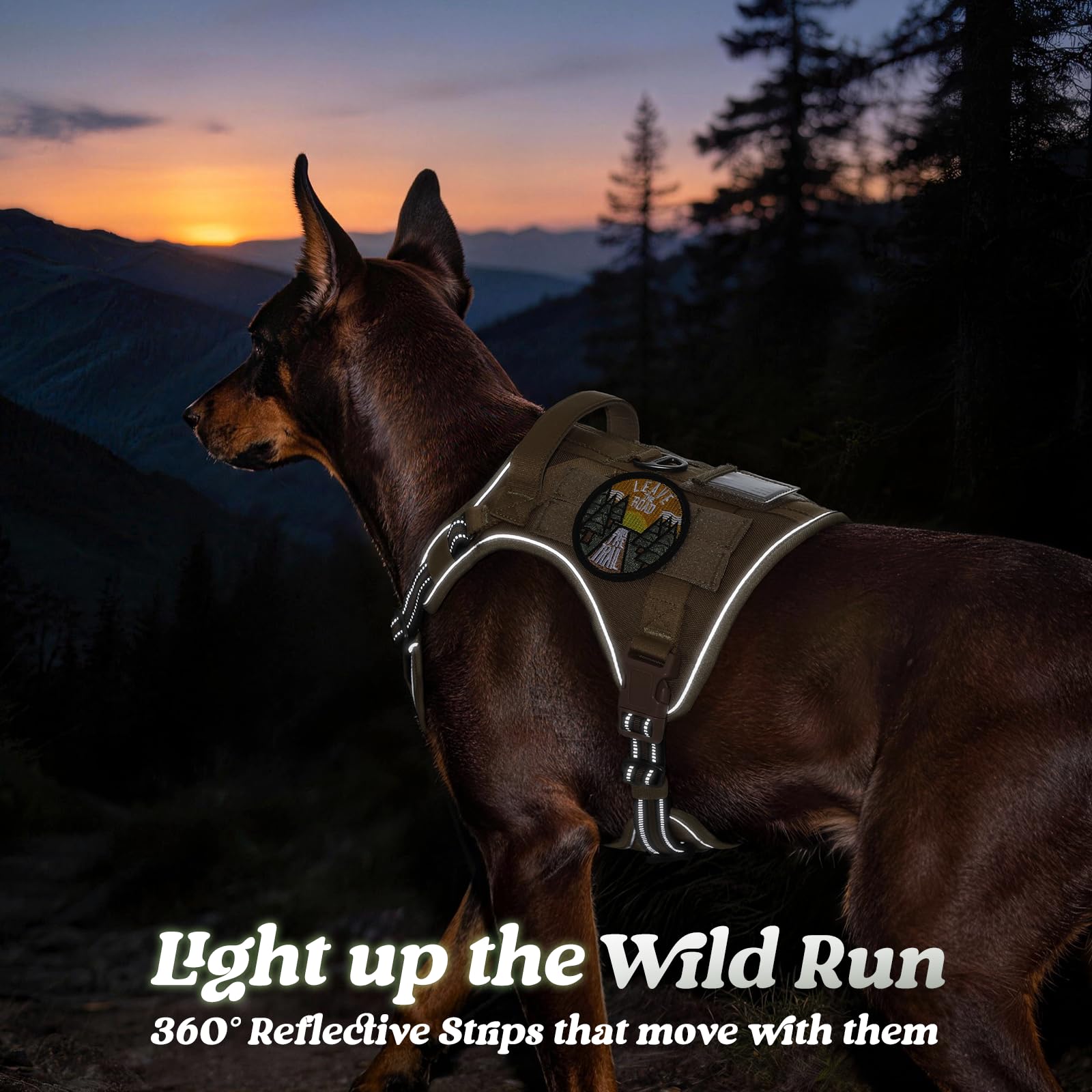 Reflective stripes improve visibility during dawn, dusk, or nighttime strolls.