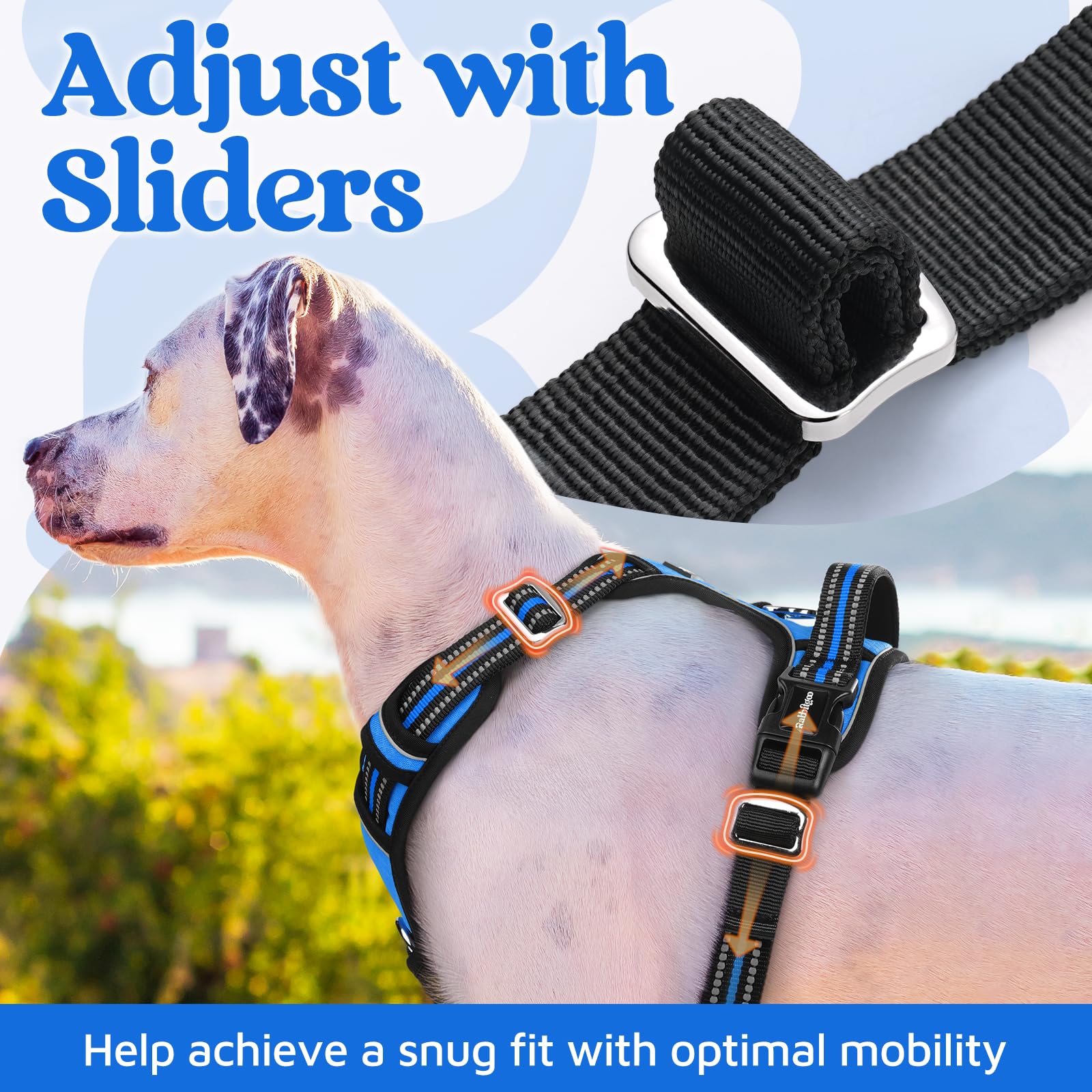 Rabbitgoo blue harness shows reflective strips for visibility in low light