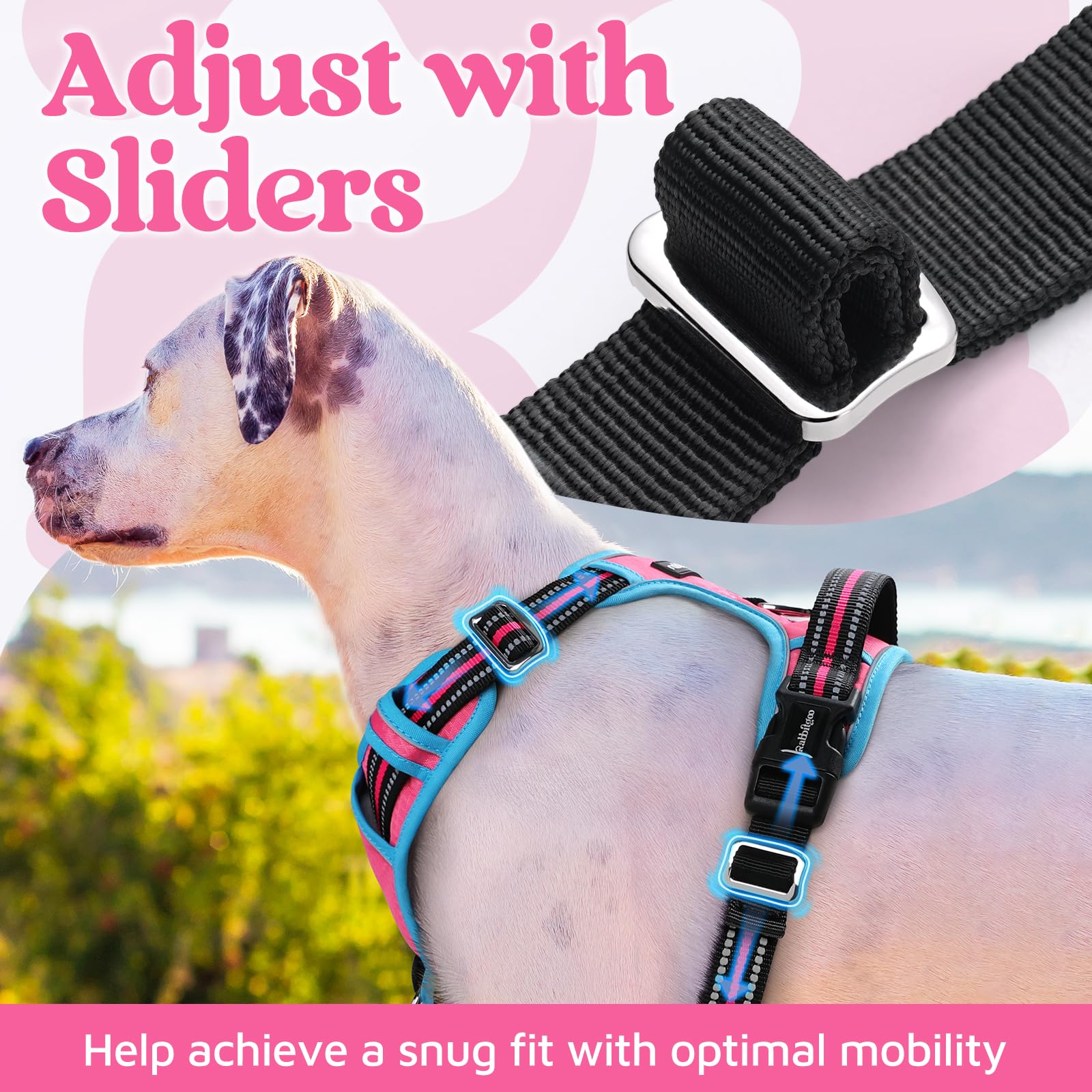 Rabbitgoo reflective strips for improved visibility at night.