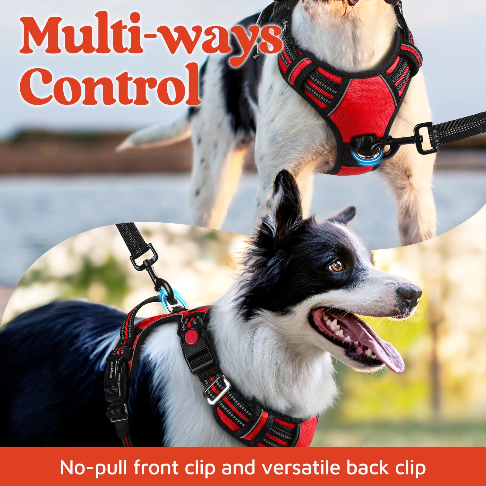 Rabbitgoo harness with reflective strips for safer night walks.
