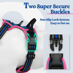 Rabbitgoo reflective strips on harness for night visibility