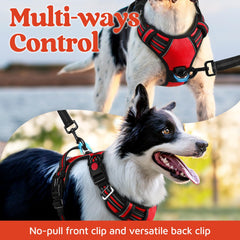 Rabbitgoo harness with reflective strips for safer night walks.