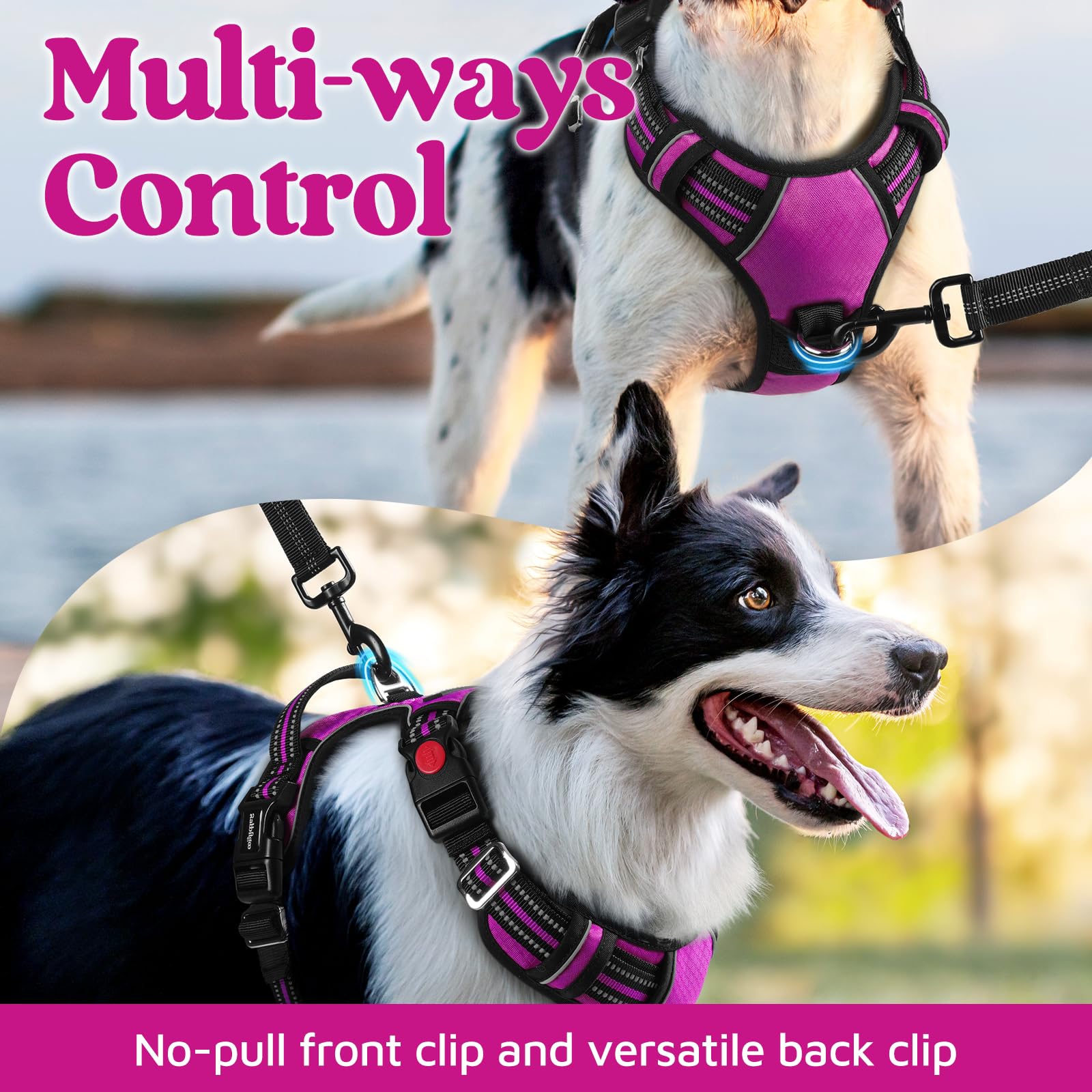 Rabbitgoo harness with reflective strips for safer nighttime visibility