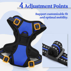 Reflective strips on the Rabbitgoo harness boost visibility during night walks.