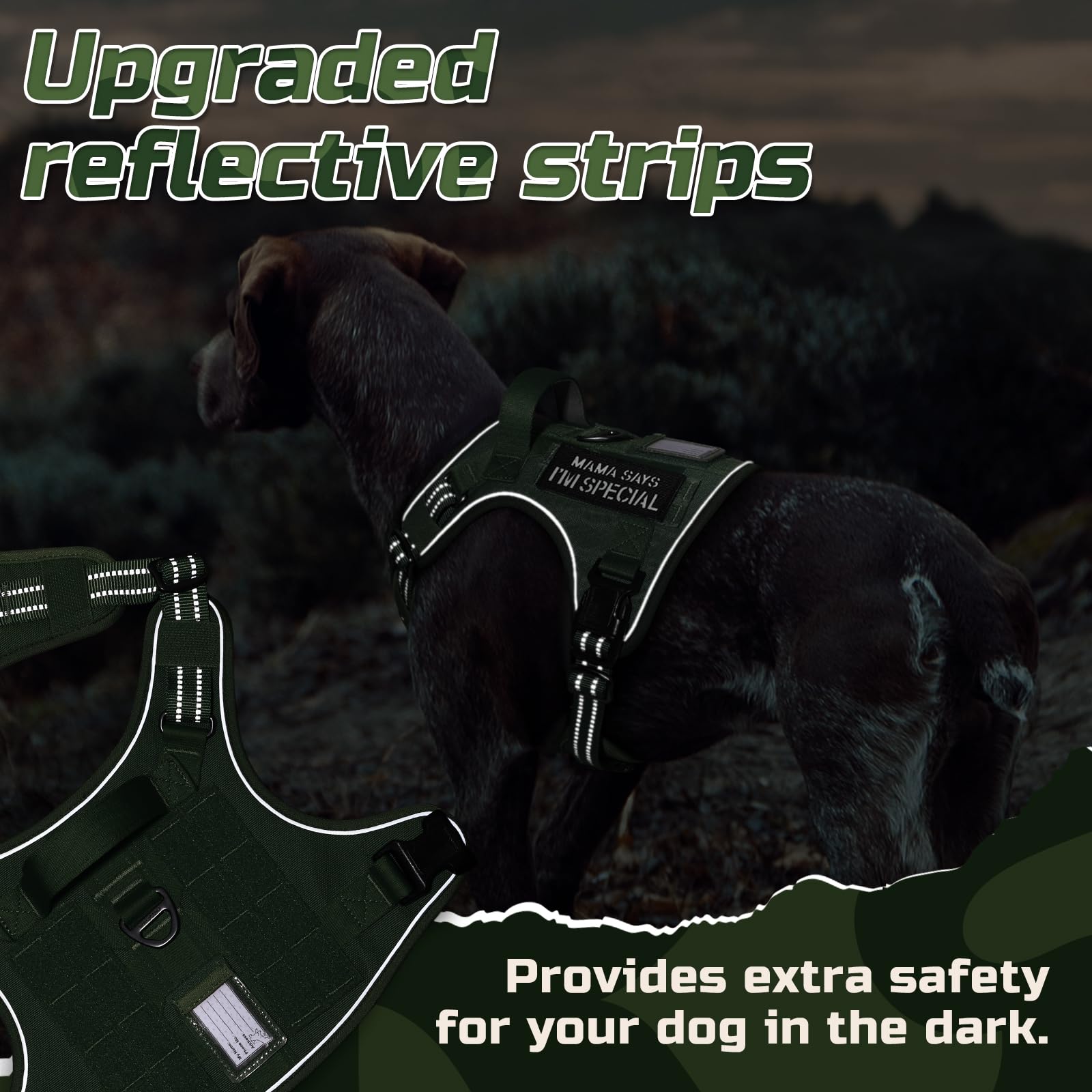 Rabbitgoo back clip and reinforced handle aid safe vehicle entry and controlled mobility.