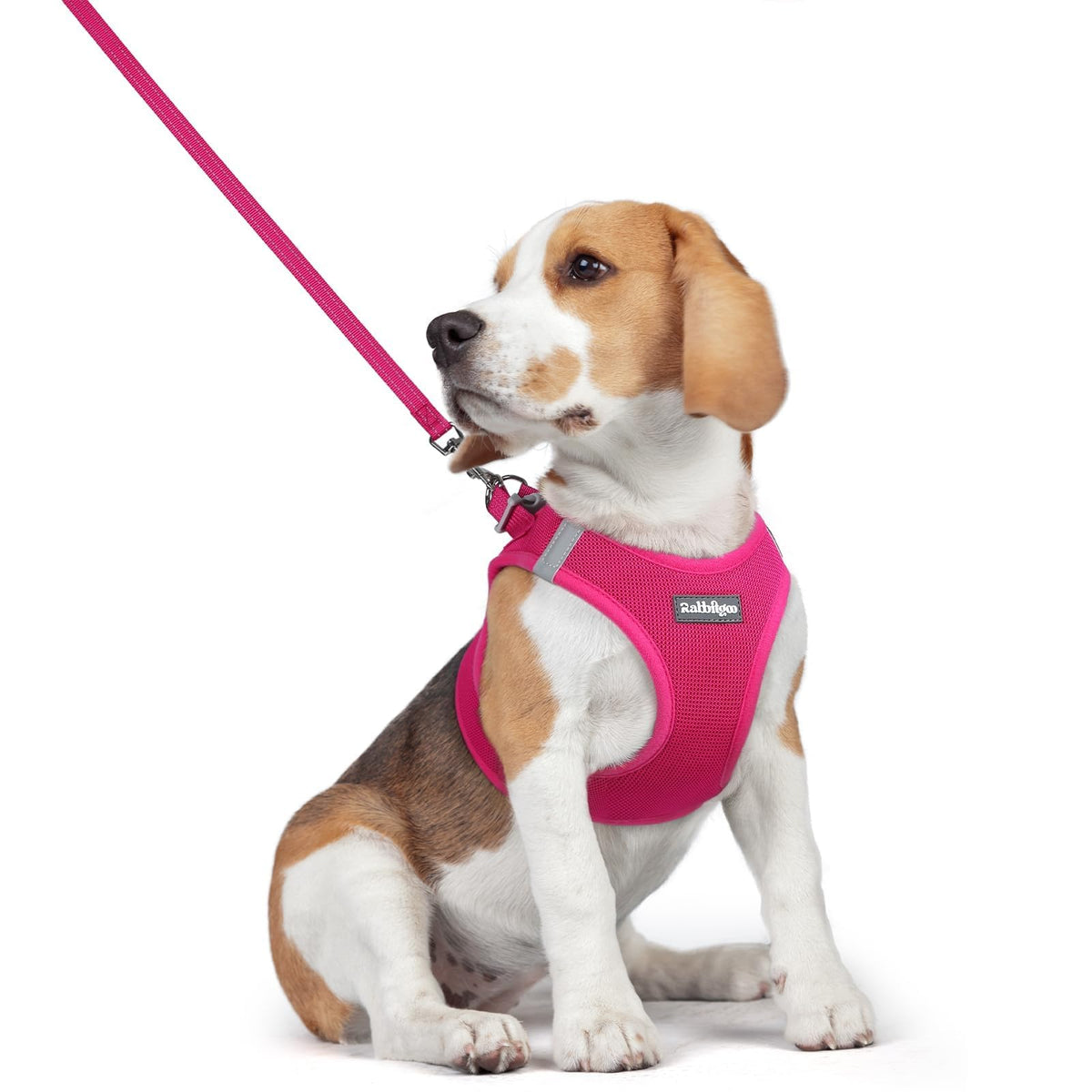Rabbitgoo step-in rose red harness for easy on/off and comfort