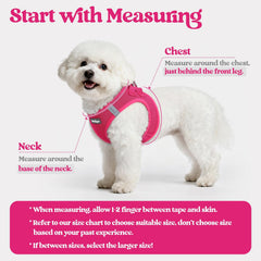 Rabbitgoo XS harness with adjustable straps for a snug, comfy fit.