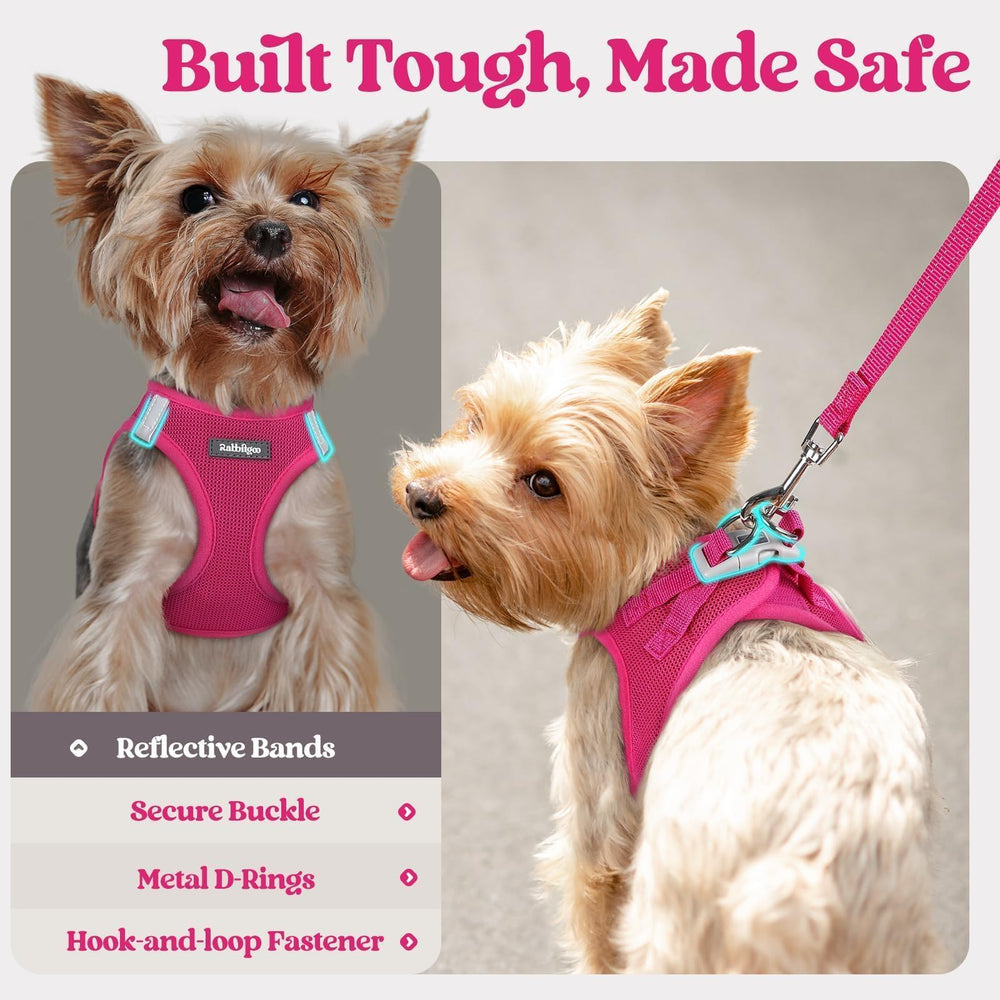 Rabbitgoo leash with palm-friendly handle for secure control.