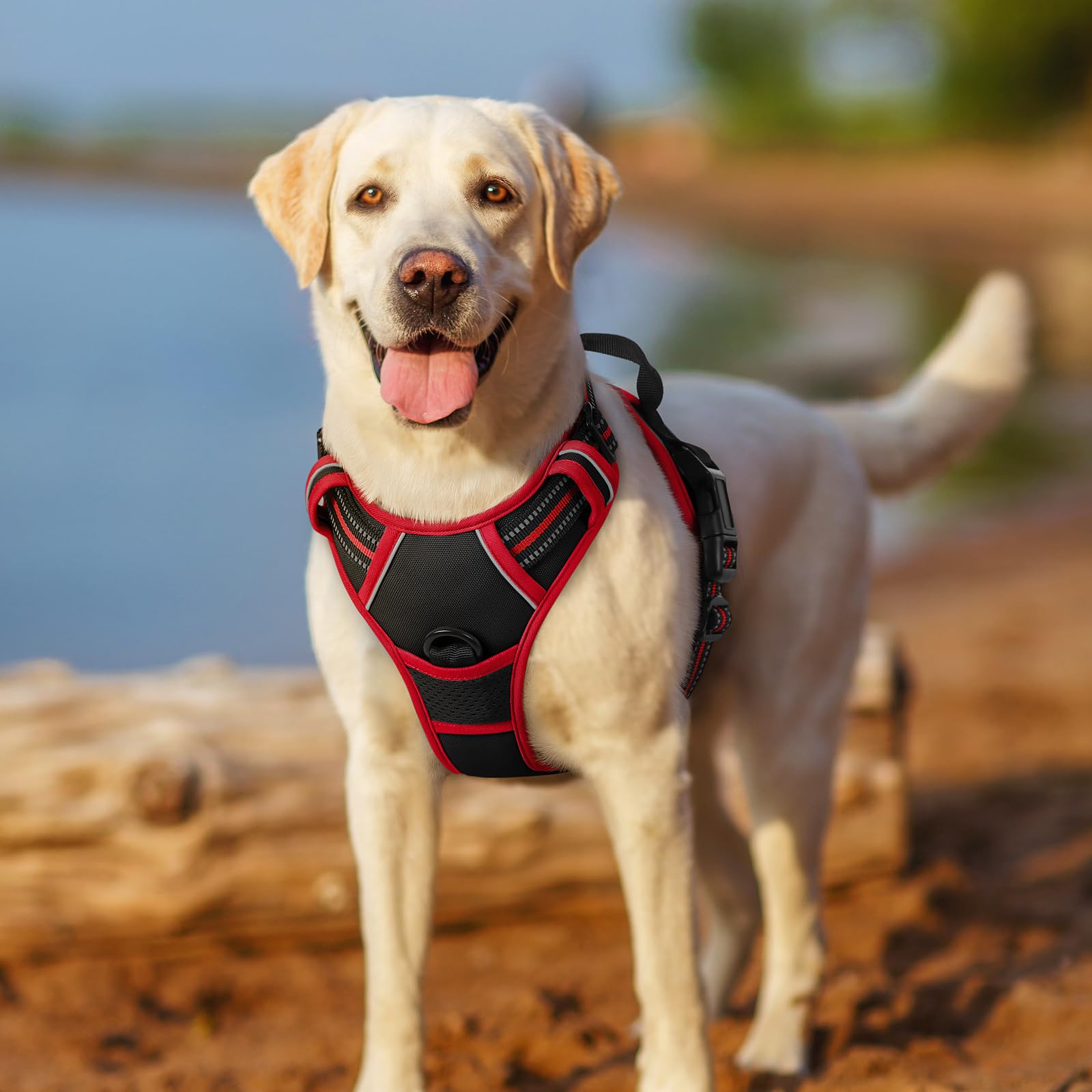 Rabbitgoo size-M adjustable straps ensure secure fit as dogs grow.