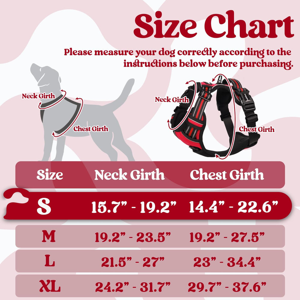 Adjustable straps on Rabbitgoo harness for growing dogs