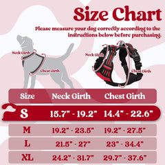 Adjustable straps on Rabbitgoo harness for growing dogs